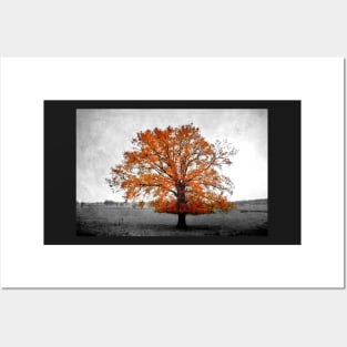 A Tree in Autumn Posters and Art